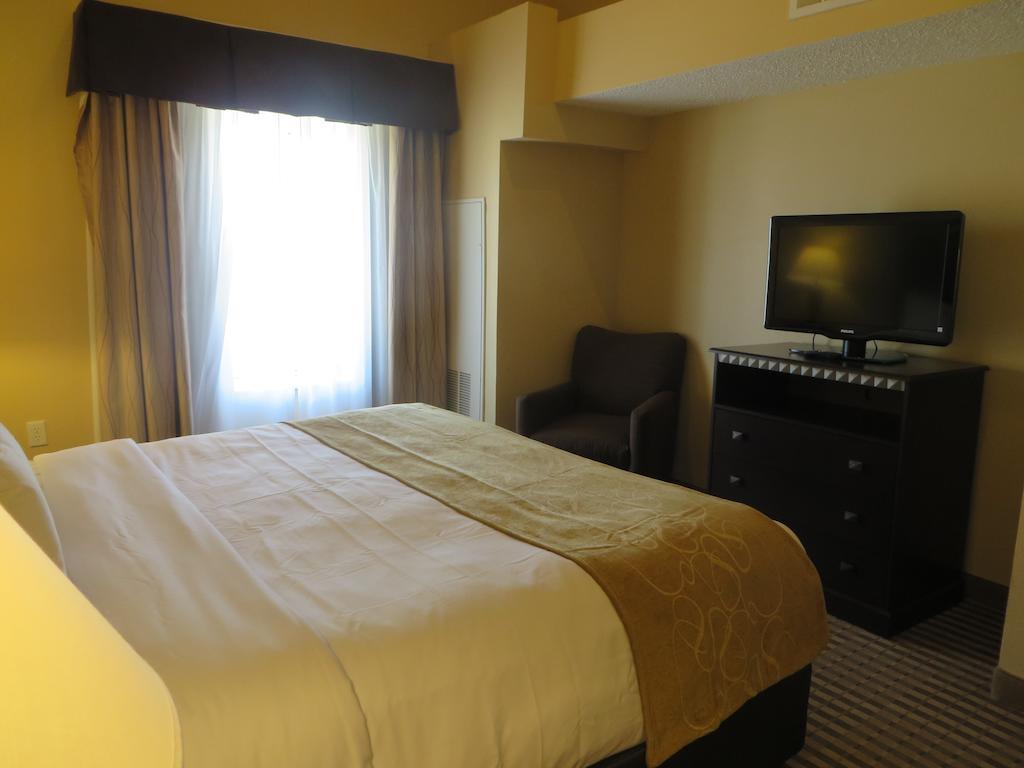 Comfort Suites Dfw Airport Irving Exterior foto